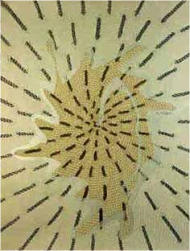 A CODE OF CONDUCT OR THE WHITE BOOK OF PROPORTION "SUITE NO. 10 IN DWM 41" (?.?.39) 1993 London