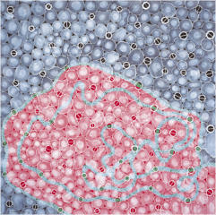 UNTITLED NO. 2, 14.11.98 (44), London