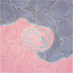 FRUITION NO. 1, 22.11.98 (44), London