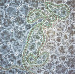 US (IN THE UNIVERSE) NO. 2, 28.1.99 (44), London