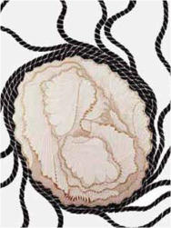 MASSIMO MEU AMOR (39) 1994 London