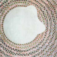 IT NO.3, August 98 (44), London  