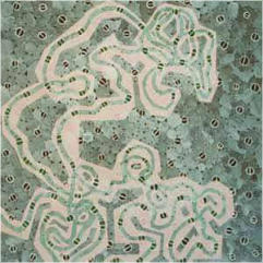 UNTITLED NO. 1, 1998 (44), London