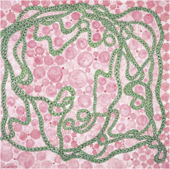 US (IN THE UNIVERSE) NO. 1, 19.1.99 (44), London