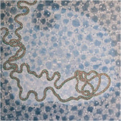 US (IN THE UNIVERSE) NO. 5, 8.2.99 (44), London