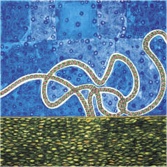 SYMMETRIES - GROWING FROM  THE GROUND NO. 1, 24.6.99 (45), London